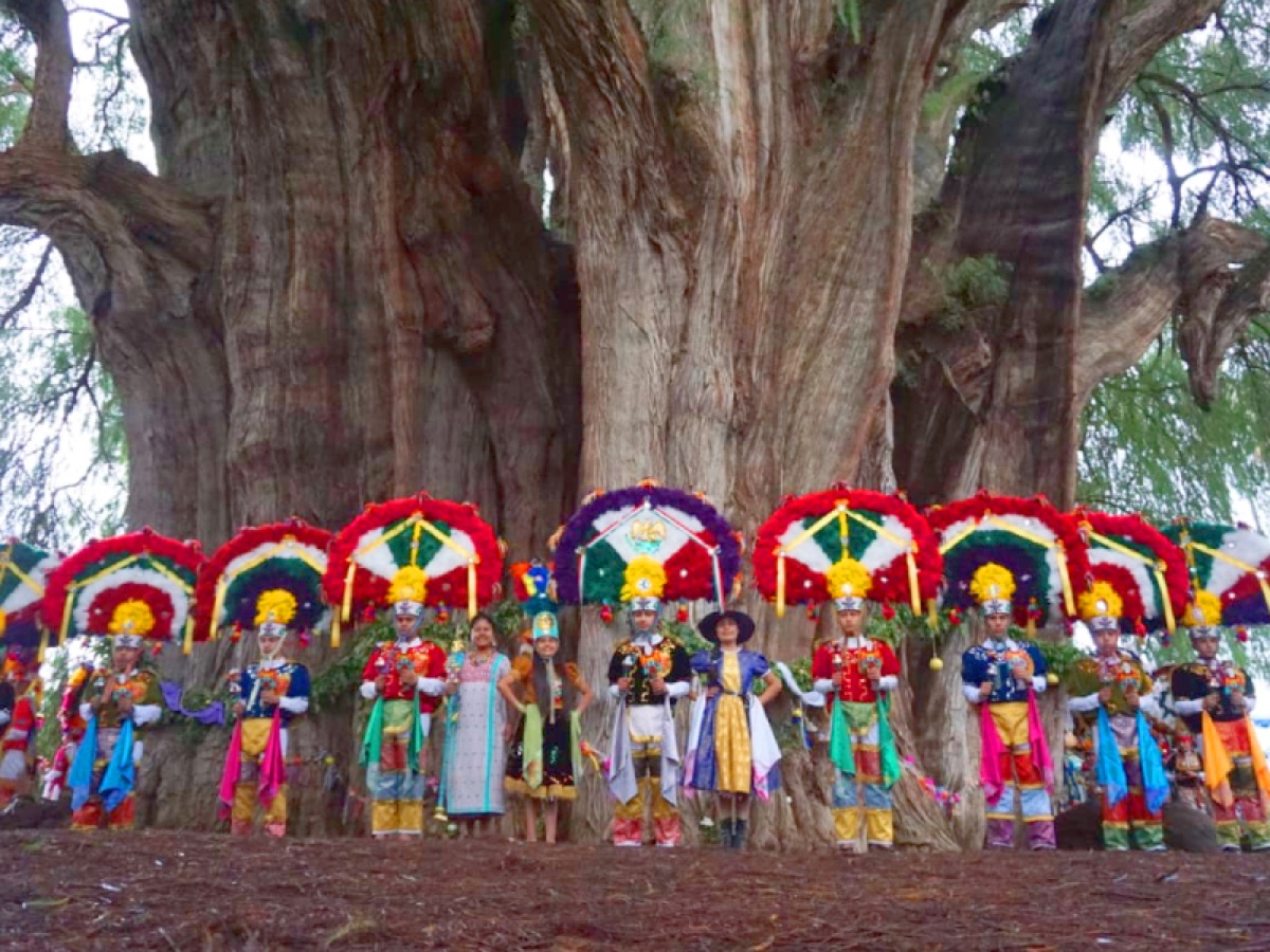 Oaxaca / Mitla / Teotitlan del Valle / Hierve el Agua / Oaxaca